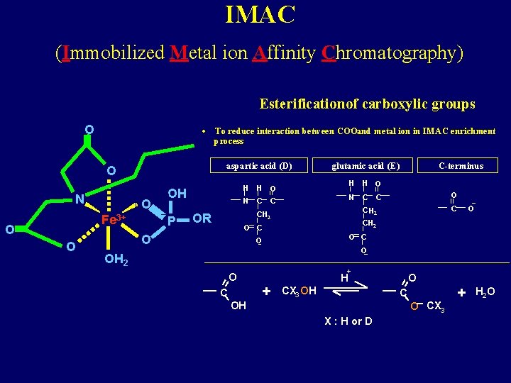 IMAC (Immobilized Metal ion Affinity Chromatography) Esterification of carboxylic groups O • aspartic acid