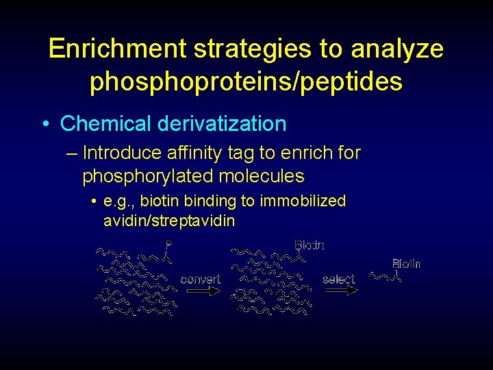 Enrichment strategies to analyze phosphoproteins/peptides • Chemical derivatization – Introduce affinity tag to enrich