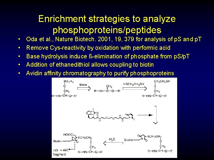 Enrichment strategies to analyze phosphoproteins/peptides • • • Oda et al. , Nature Biotech.