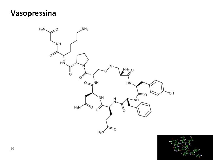 Vasopressina 16 YOURLOGO 