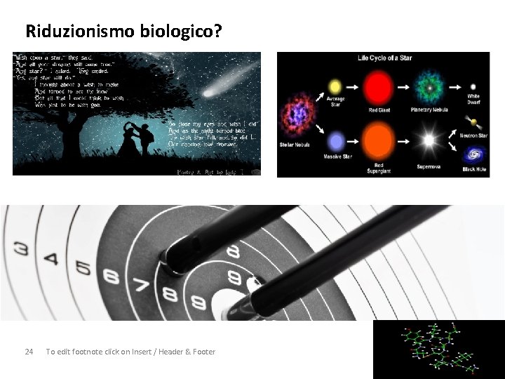 Riduzionismo biologico? 24 To edit footnote click on Insert / Header & Footer YOURLOGO