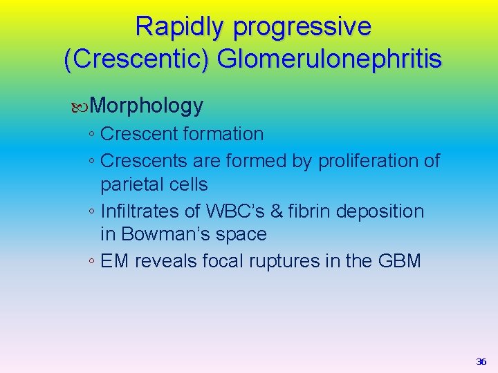 Rapidly progressive (Crescentic) Glomerulonephritis Morphology ◦ Crescent formation ◦ Crescents are formed by proliferation