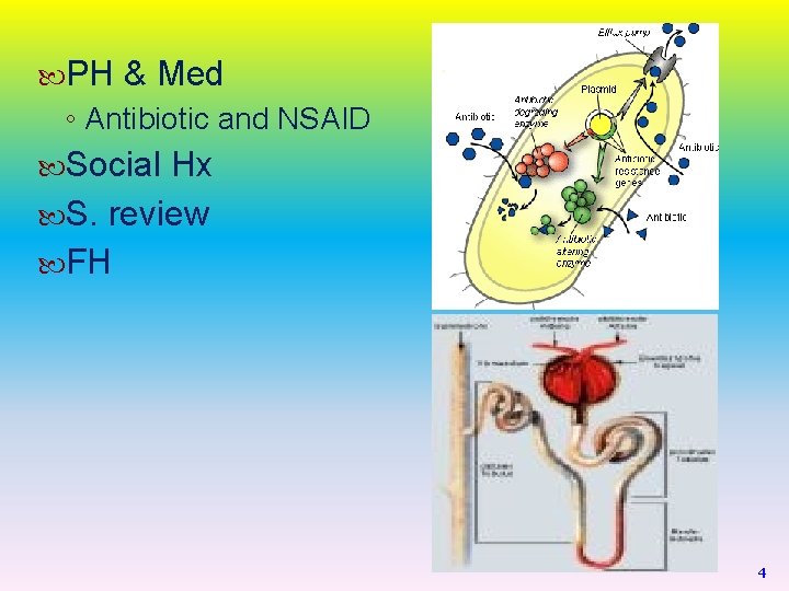  PH & Med ◦ Antibiotic and NSAID Social Hx S. review FH 4