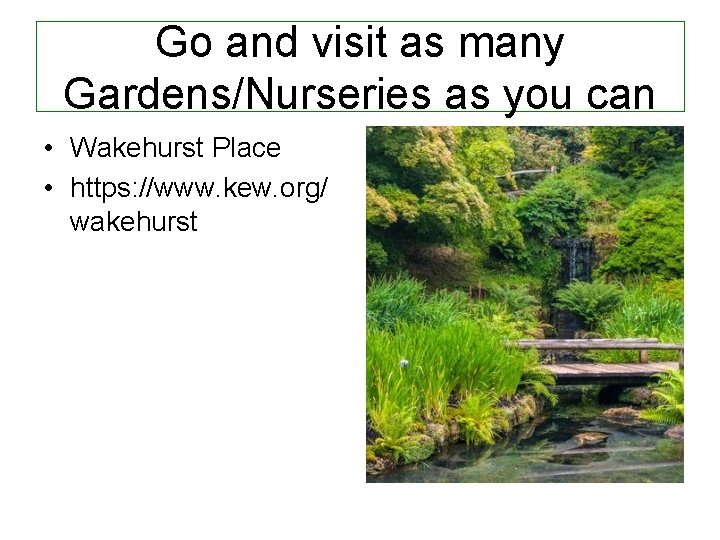 Go and visit as many Gardens/Nurseries as you can • Wakehurst Place • https: