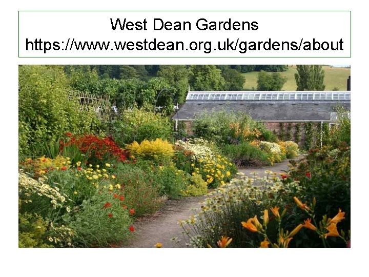 West Dean Gardens https: //www. westdean. org. uk/gardens/about 