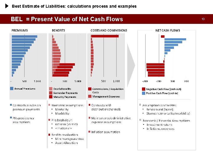 Best Estimate of Liabilities: calculations process and examples BEL = Present Value of Net
