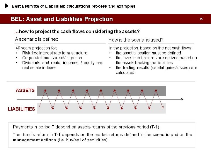 Best Estimate of Liabilities: calculations process and examples BEL: Asset and Liabilities Projection 15