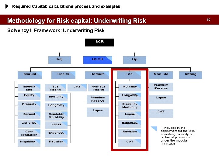 Required Capital: calculations process and examples Methodology for Risk capital: Underwriting Risk Solvency II