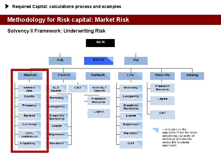 Required Capital: calculations process and examples Methodology for Risk capital: Market Risk Solvency II