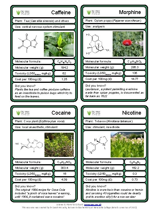 Morphine Caffeine Plant: Tea (Camellia sinensis) and others Plant: Opium poppy (Papaver somniferum) Use: