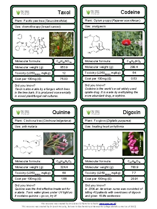 Codeine Taxol Plant: Pacific yew tree (Taxus brevifolia) Plant: Opium poppy (Papaver somniferum) Use: