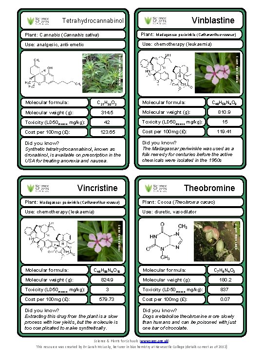 Vinblastine Tetrahydrocannabinol Plant: Cannabis (Cannabis sativa) Plant: Madagascar periwinkle (Catharanthus roseus) Use: analgesic, anti-emetic