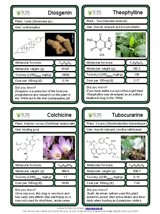 Theophylline Diosgenin Plant: Yams (Dioscorea sp. ) Plant: Tea (Camellia sinensis) Use: contraceptive Use: