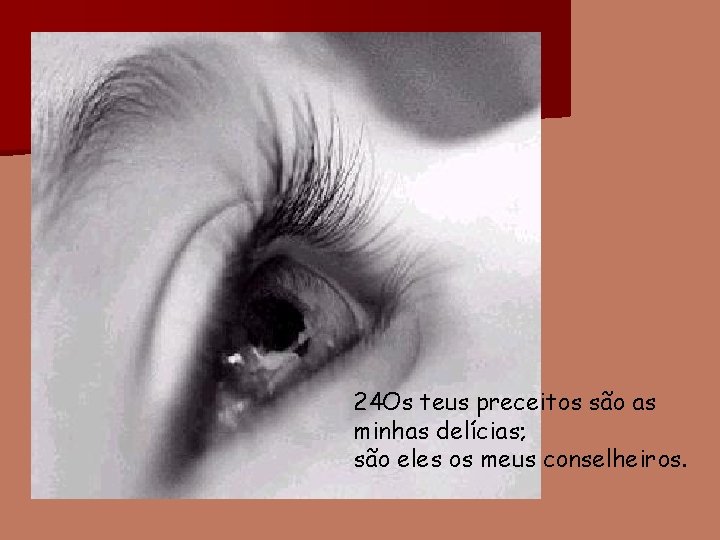 24 Os teus preceitos são as minhas delícias; são eles os meus conselheiros. 