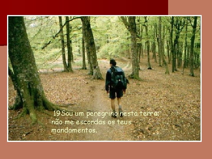 19 Sou um peregrino nesta terra; não me escondas os teus mandamentos. 