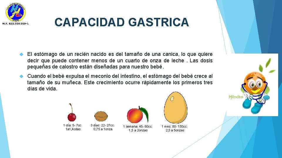 CAPACIDAD GASTRICA El estómago de un recién nacido es del tamaño de una canica,