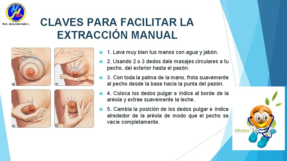 CLAVES PARA FACILITAR LA EXTRACCIÓN MANUAL 1. Lava muy bien tus manos con agua