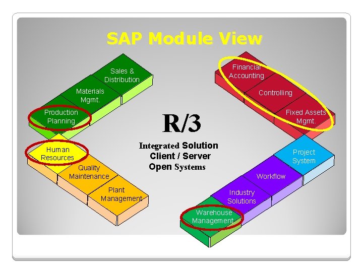 SAP Module View Financial Accounting Sales & Distribution Materials Mgmt. Controlling R/3 Production Planning SAP Module View Financial Accounting Sales & Distribution Materials Mgmt. Controlling R/3 Production Planning