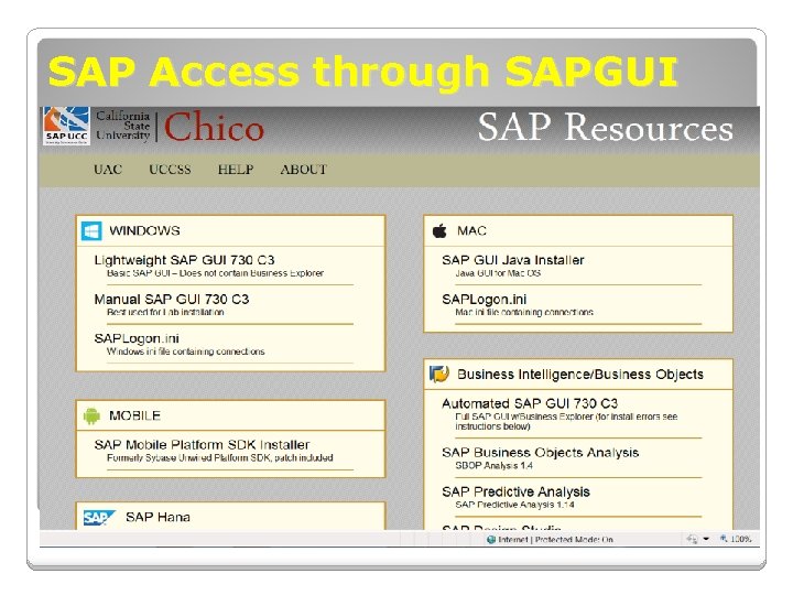 SAP Access through SAPGUI SAP Access through SAPGUI