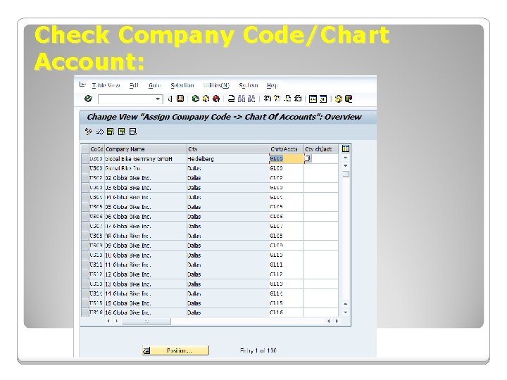 Check Company Code/Chart Account: Check Company Code/Chart Account: