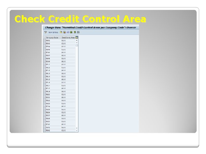 Check Credit Control Area Check Credit Control Area