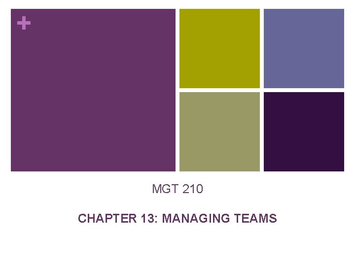 + MGT 210 CHAPTER 13: MANAGING TEAMS + MGT 210 CHAPTER 13: MANAGING TEAMS
