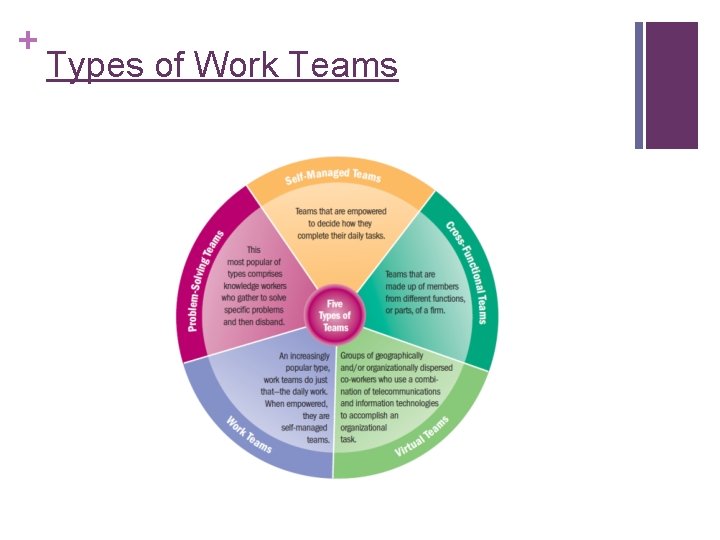 + Types of Work Teams + Types of Work Teams