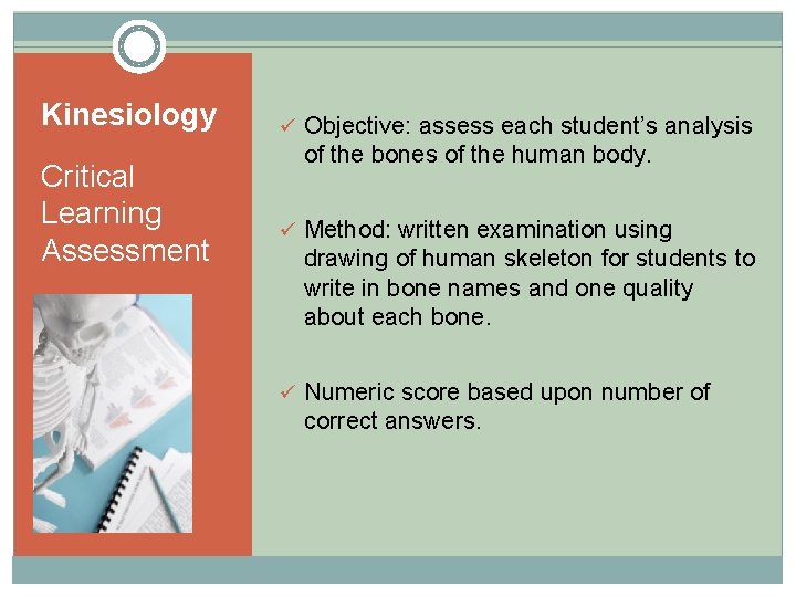 Kinesiology Critical Learning Assessment ü Objective: assess each student’s analysis of the bones of