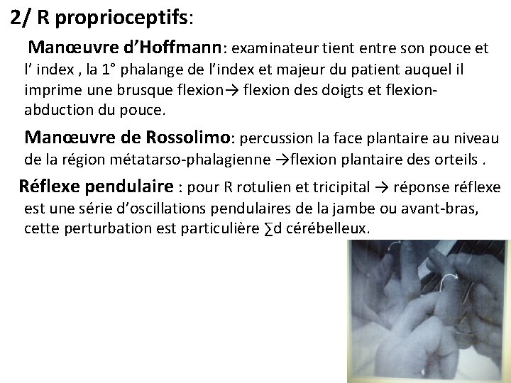2/ R proprioceptifs: Manœuvre d’Hoffmann: examinateur tient entre son pouce et l’ index ,