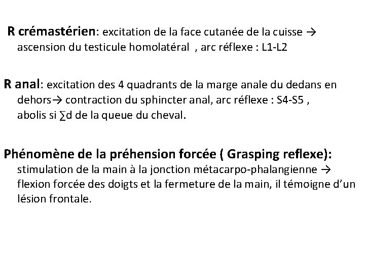 R crémastérien: excitation de la face cutanée de la cuisse → ascension du testicule