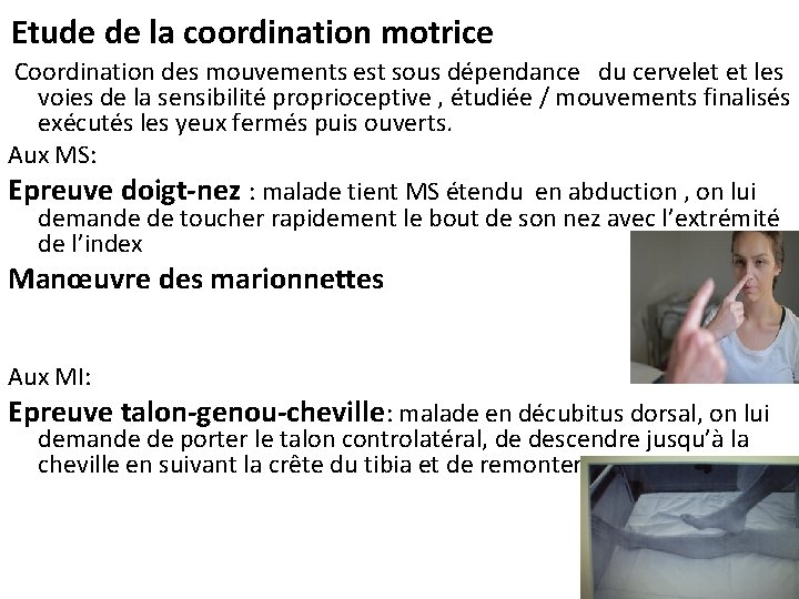 Etude de la coordination motrice Coordination des mouvements est sous dépendance du cervelet et