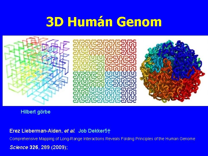 3 D Humán Genom Hilbert görbe Erez Lieberman-Aiden, et al. Job Dekker 5† Comprehensive