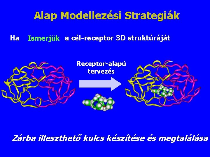 Alap Modellezési Strategiák Ha Ismerjük a cél-receptor 3 D struktúráját Receptor-alapú tervezés Zárba illeszthető