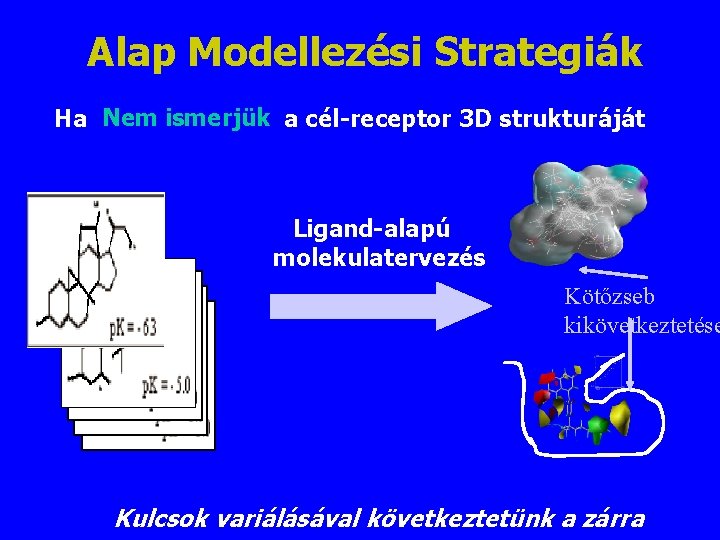 Alap Modellezési Strategiák Ha Nem ismerjük a cél-receptor 3 D strukturáját Ligand-alapú molekulatervezés Kötőzseb