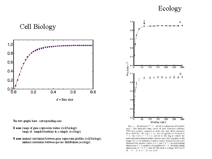 Ecology Cell Biology d = Box size The two graphs have corresponding axes. X