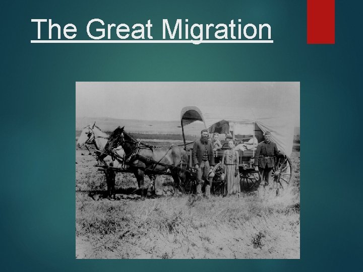 The Great Migration 