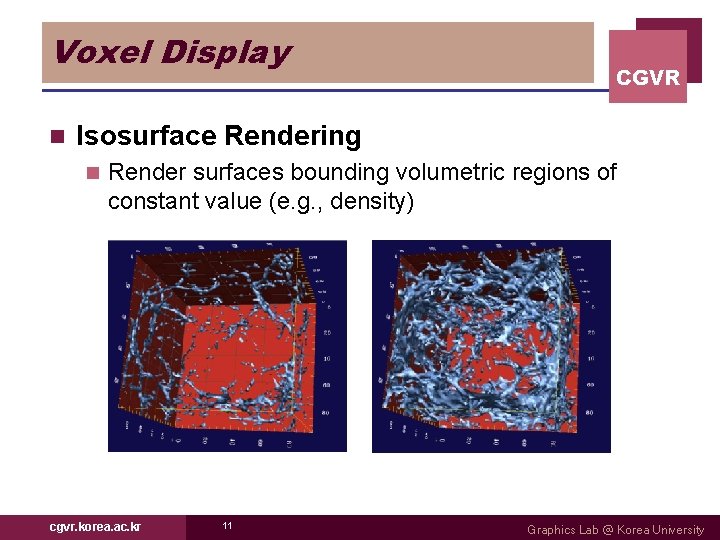 Voxel Display n CGVR Isosurface Rendering n Render surfaces bounding volumetric regions of constant