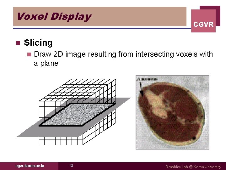 Voxel Display n CGVR Slicing n Draw 2 D image resulting from intersecting voxels