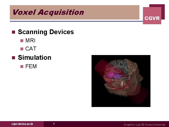 Voxel Acquisition n CGVR Scanning Devices MRI n CAT n n Simulation n FEM