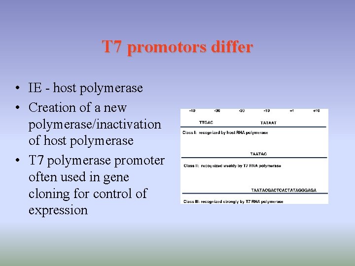 T 7 promotors differ • IE - host polymerase • Creation of a new
