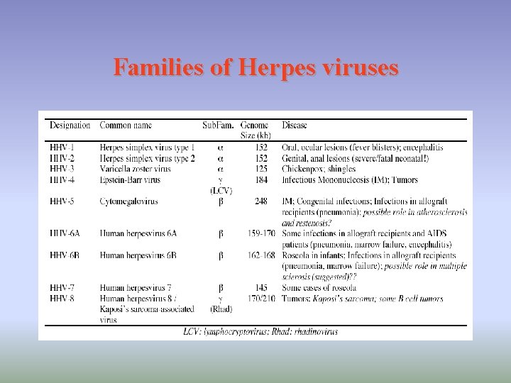 Families of Herpes viruses 