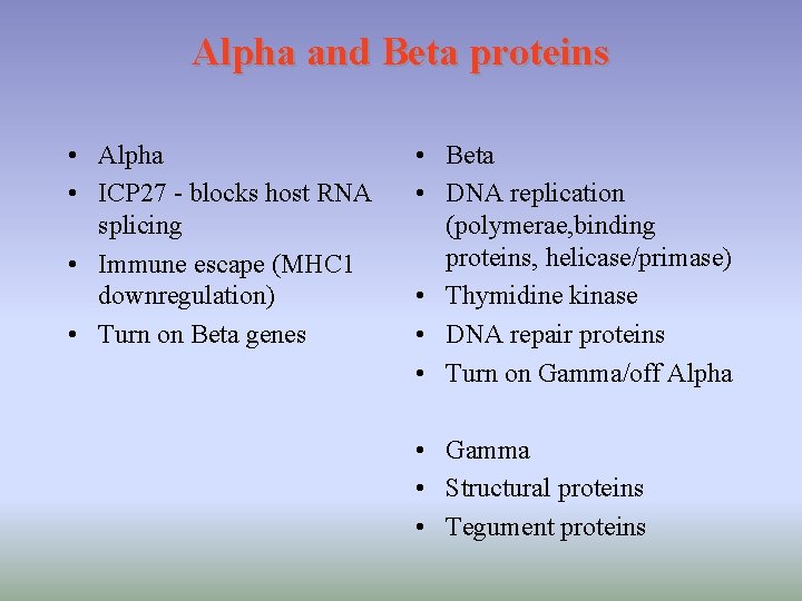 Alpha and Beta proteins • Alpha • ICP 27 - blocks host RNA splicing