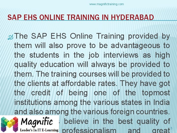 www. magnifictraining. com SAP EHS ONLINE TRAINING IN HYDERABAD The SAP EHS Online Training