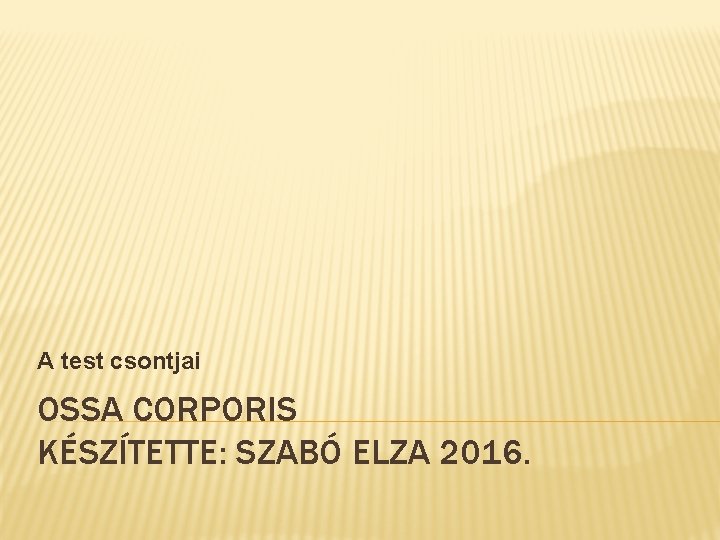 A test csontjai OSSA CORPORIS KÉSZÍTETTE: SZABÓ ELZA 2016. 