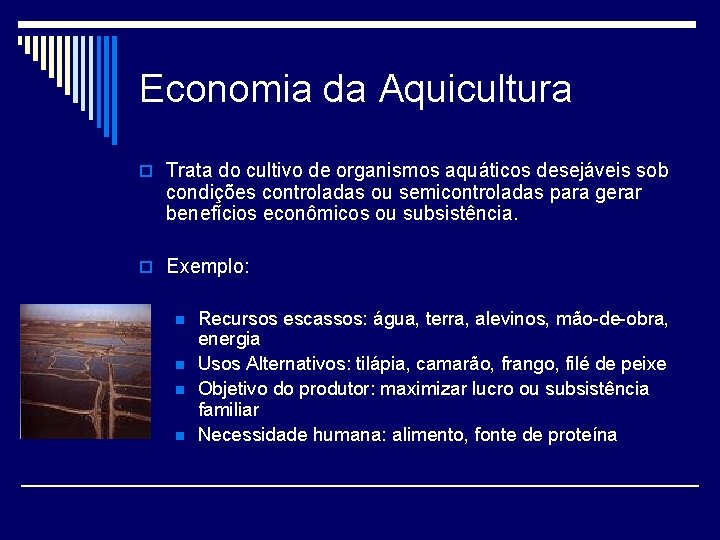 Economia da Aquicultura o Trata do cultivo de organismos aquáticos desejáveis sob condições controladas
