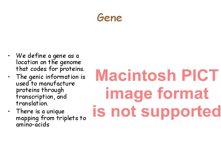 Gene • We define a gene as a location on the genome that codes