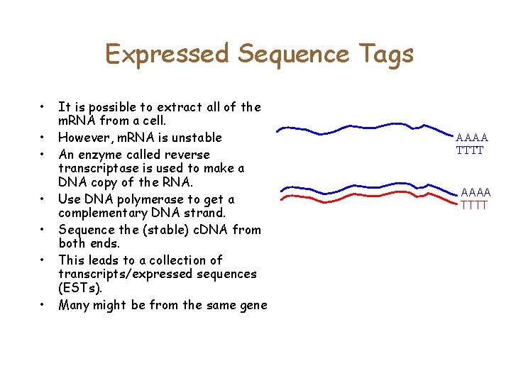 Expressed Sequence Tags • • It is possible to extract all of the m.