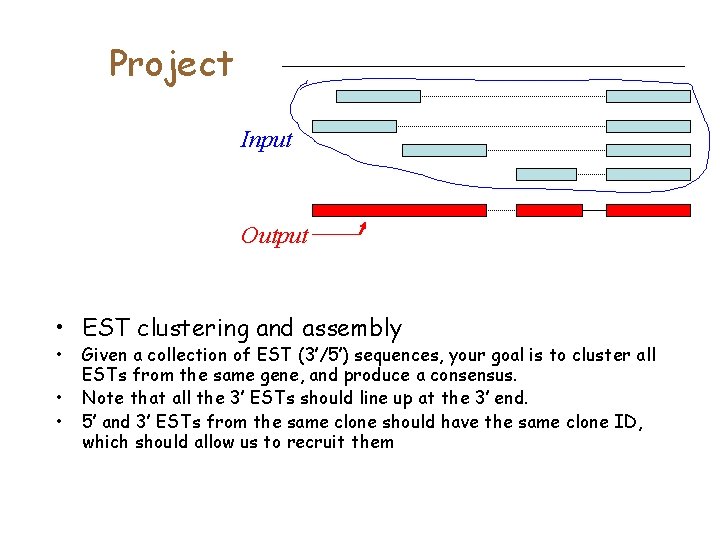 Project Input Output • EST clustering and assembly • • • Given a collection