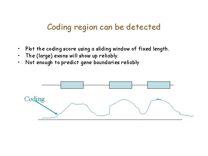 Coding region can be detected • • • Plot the coding score using a