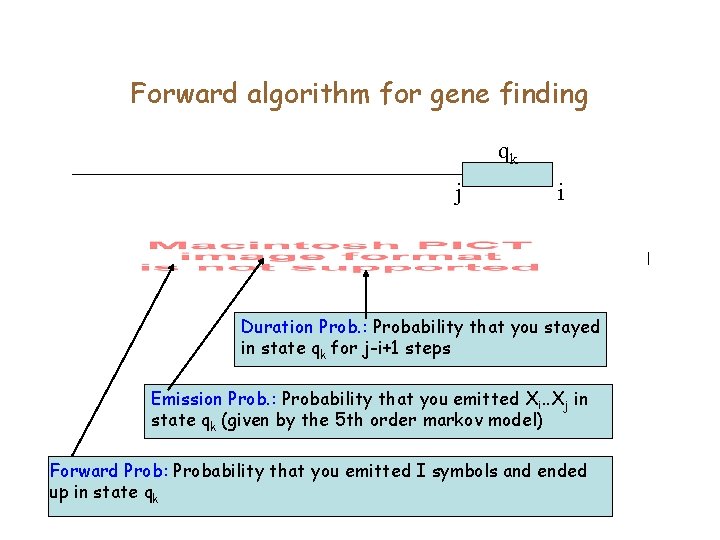 Forward algorithm for gene finding qk j i Duration Prob. : Probability that you